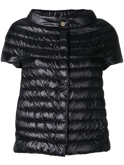 Shop Herno Greta Padded Jacket In Black
