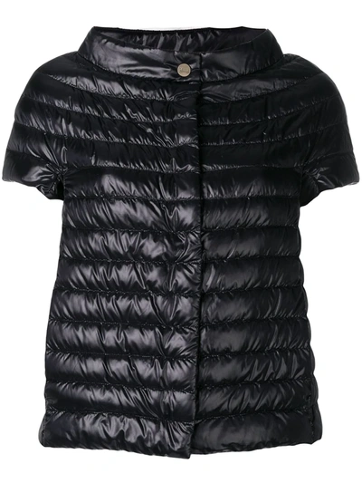 Herno Short-sleeve Snap-front Quilted Puffer Jacket In Black