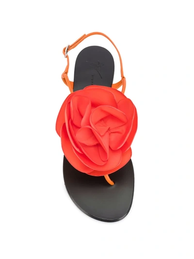 Shop Giuseppe Zanotti Flower Detail Sandals In Orange