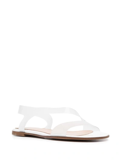 Shop Gianvito Rossi Transparent-strap Flat Sandals In Neutrals