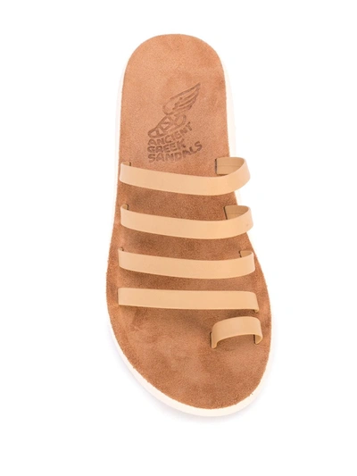Shop Ancient Greek Sandals Niki Comfort Sandals In Brown