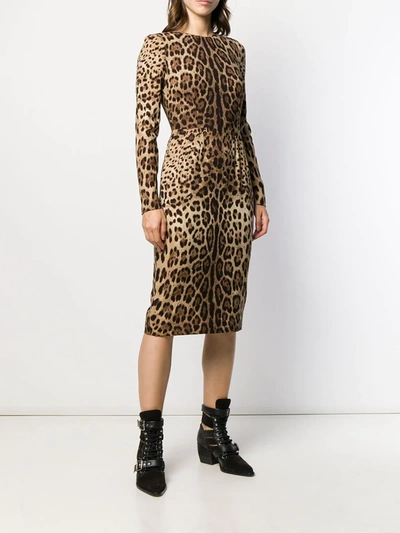 Shop Dolce & Gabbana Leopard Print Bodycon Dress In Neutrals