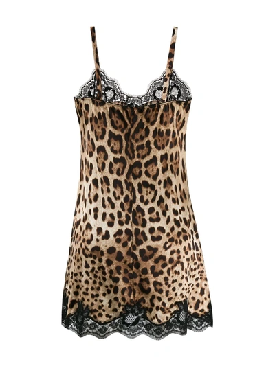 Shop Dolce & Gabbana Leopard-print Satin Slip Dress In Brown