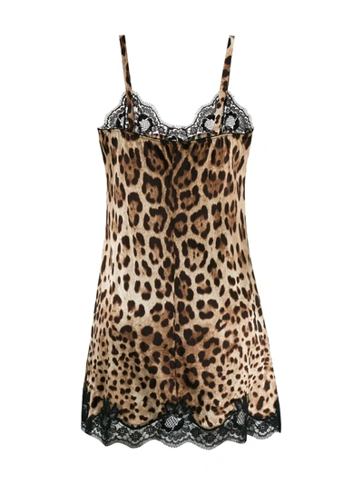 Dolce & Gabbana Leopard-print Satin Lingerie Slip With Lace Detailing In Brown