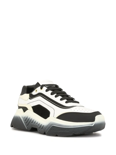 Shop Dolce & Gabbana Daymaster Two-tone Sneakers In Black