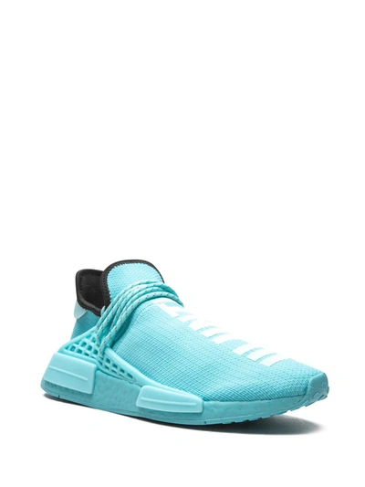 Shop Adidas Originals By Pharrell Williams X Pharrell Williams Nmd Human Race "aqua" Sneakers In Blue