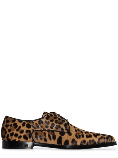 Shop Dolce & Gabbana Millennials Leopard-print Derby Shoes In Brown