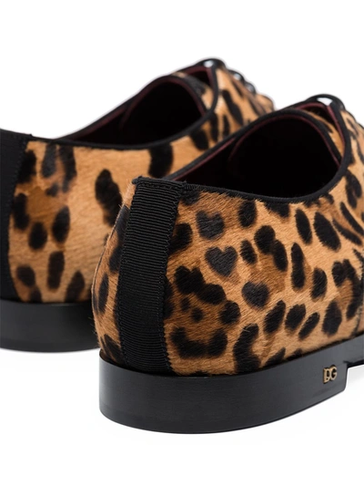 Shop Dolce & Gabbana Millennials Leopard-print Derby Shoes In Brown