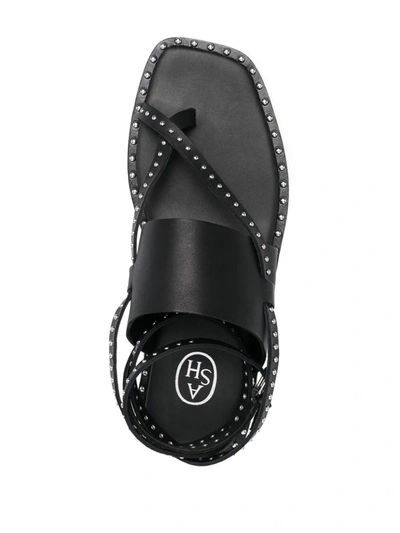 Shop Ash Medusa Studded Leather Sandals In Black