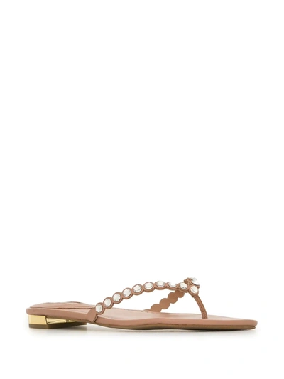 Shop Aquazzura Tequila Crystal-embellished Sandals In Pink