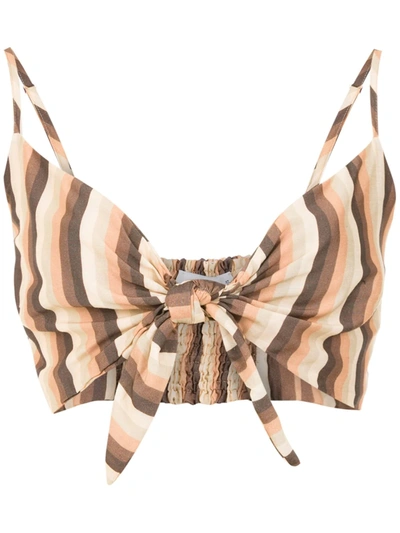 Shop Amir Slama Striped Cropped Top In Brown