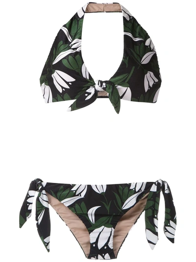 Shop Adriana Degreas Printed Halter Neck Bikini Set In Multicolour