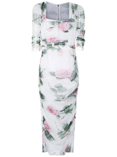 Shop Dolce & Gabbana Tropical Rose-print Tulle Midi-dress In White