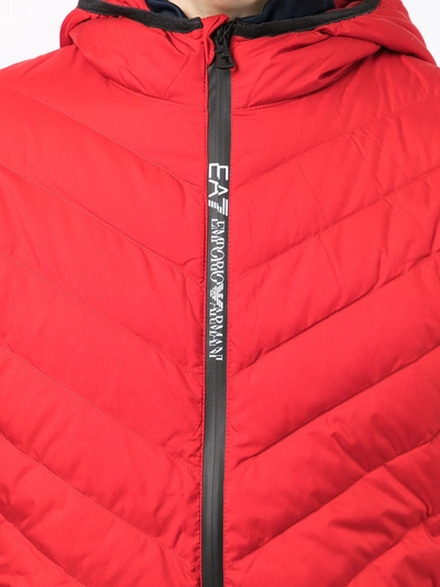 Shop Ea7 Logo-print Padded Jacket In Rot