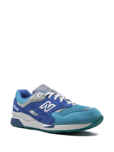 Shop New Balance X Nice Kicks Cm1600 Sneakers In Blue