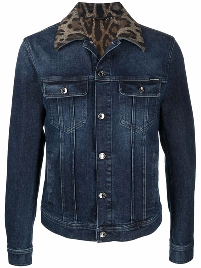 Shop Dolce & Gabbana Leopard Print-collar Denim Jacket In Blue