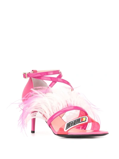 Shop Msgm Feather Embellished Pumps In Pink