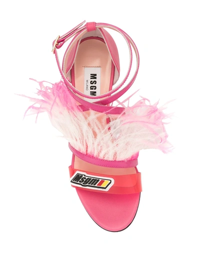 Shop Msgm Feather Embellished Pumps In Pink
