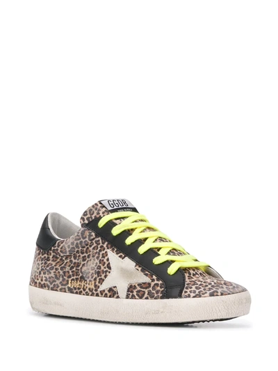 Shop Golden Goose Super-star Leopard-print Sneakers In Neutrals