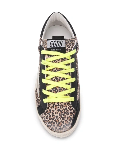 Shop Golden Goose Super-star Leopard-print Sneakers In Neutrals
