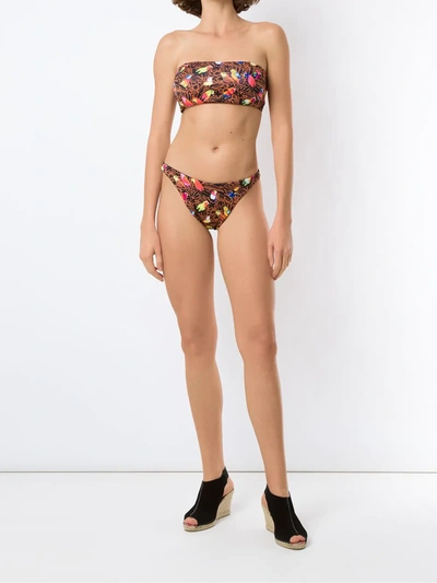 Amir Slama Parrot-print Bandeau Bikini Set In Black