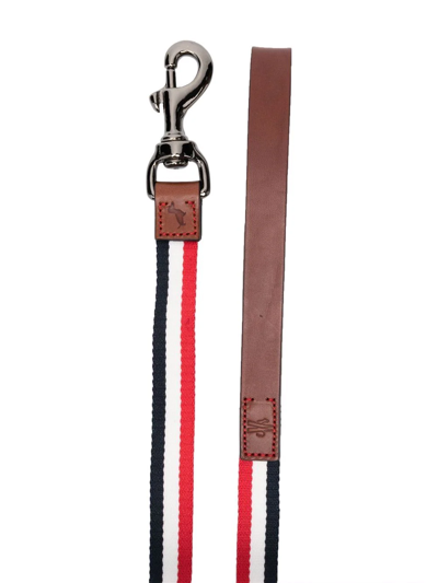 Shop Moncler Striped Leather-trim Dog Leash In White