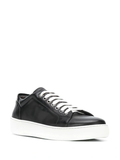 Shop Sergio Rossi Addict Lace-up Plimsolls In Black