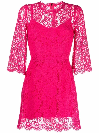 Shop Dolce & Gabbana Embroidered Lace Cocktail Dress In Pink