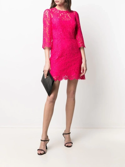 Shop Dolce & Gabbana Embroidered Lace Cocktail Dress In Pink