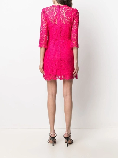 Shop Dolce & Gabbana Embroidered Lace Cocktail Dress In Pink
