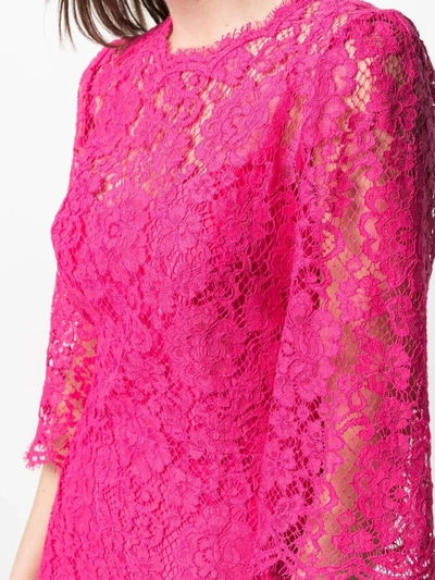 Shop Dolce & Gabbana Embroidered Lace Cocktail Dress In Pink