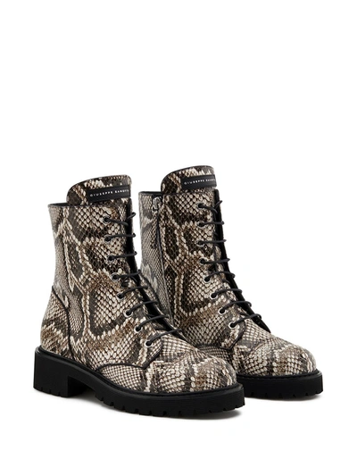 Giuseppe Zanotti Python-embossed Leather Combat Boots In Brown