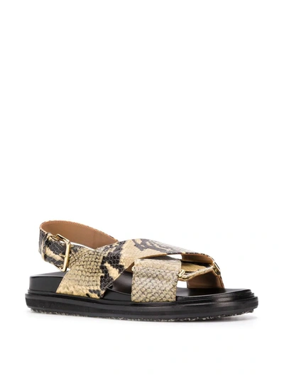 Shop Marni Fussbett Sandals In Neutrals