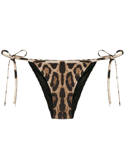 Shop Dolce & Gabbana Leopard-print Bikini Bottoms In Brown