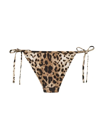 Shop Dolce & Gabbana Leopard-print Bikini Bottoms In Brown