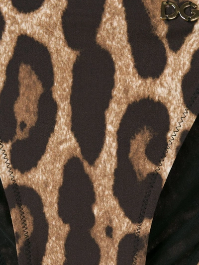Dolce & Gabbana Leopard-print String Bikini Briefs In Brown