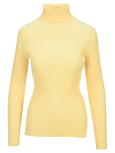 Shop Tory Burch Ribbed Knit Turtleneck Sweater In Vanilla