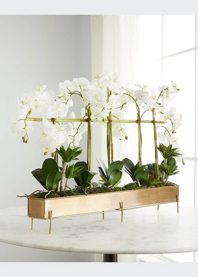 Shop John-richard Collection Rows Of Orchids Faux-floral Arrangement