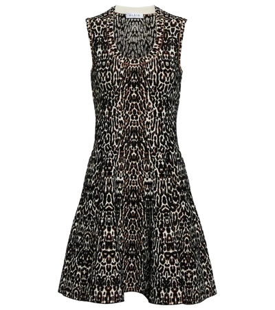 Alaïa Leopard Jacquard Sleeveless Fit & Flare Minidress In Noir/ivoire