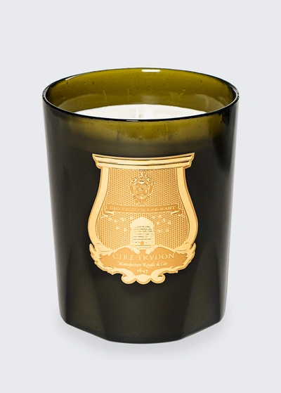 Shop Trudon Ernesto Grand Bougie Candle, Leather And Tobacco In Unassigned