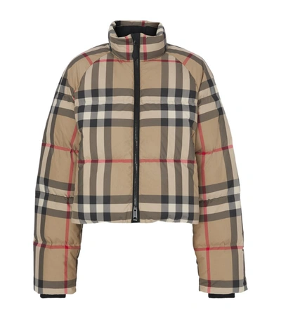 Shop Burberry Cropped Check Puffer Jacket In Brown
