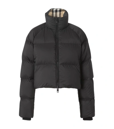 Shop Burberry Cropped Puffer Jacket In Black