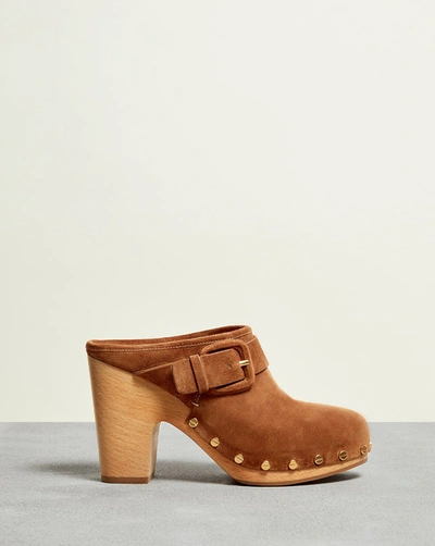 Shop Veronica Beard Dacey Clog In Pecan