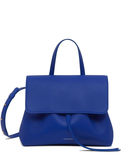 Shop Mansur Gavriel Soft Lady Bag In Blue