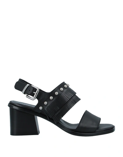 Shop Angelo Bervicato Woman Sandals Black Size 7 Calfskin