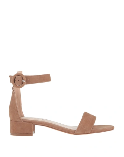 Shop Cafènoir Sandals In Camel