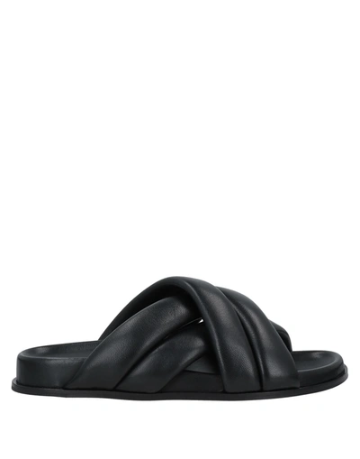 Shop Anine Bing Sandals In Black