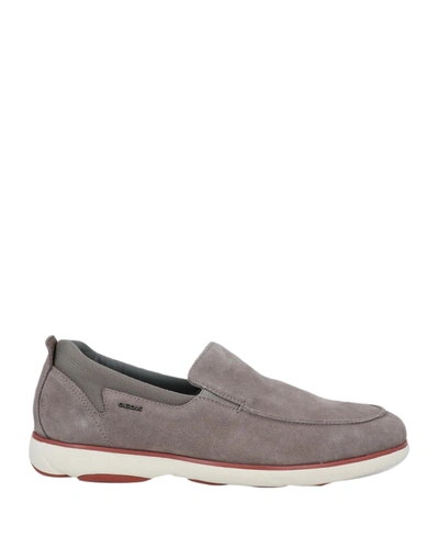 Shop Geox Sneakers In Grey