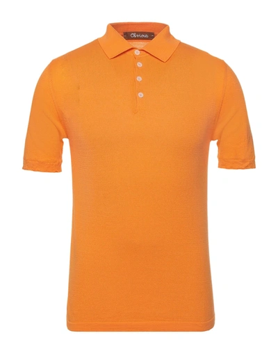 Shop Obvious Basic Man Sweater Orange Size Xs Cotton