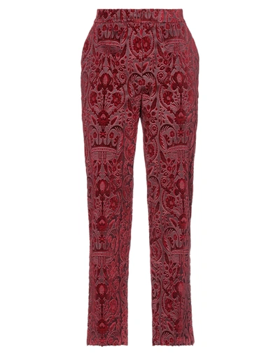 Shop Dolce & Gabbana Woman Pants Burgundy Size 0 Cotton, Elastane In Red